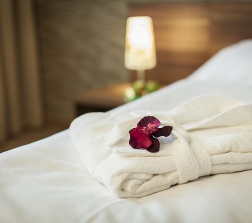 Hotel Enziana Wien