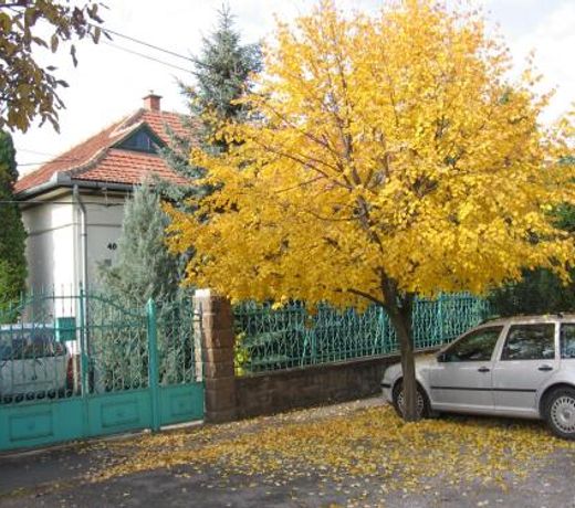 Családi Vendégház