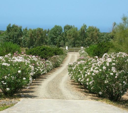 Holiday home Scivu Porta delle Stelle