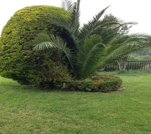 Villa POLYTIMI