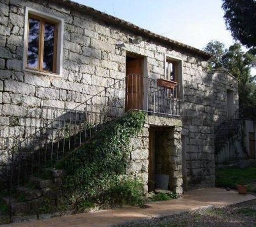 Chambres d'HÃ´tes Barraconu