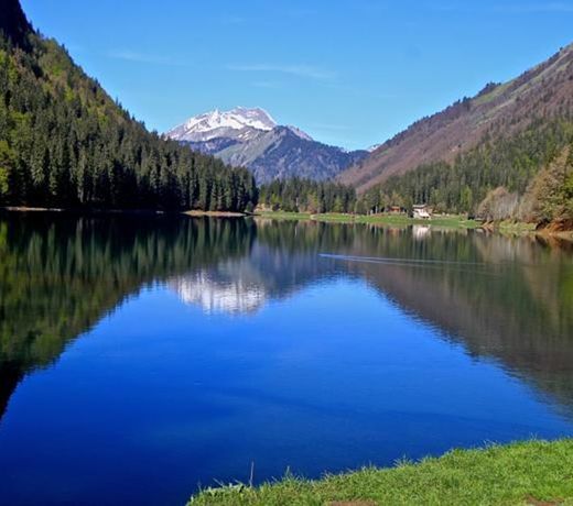 CHALET PLAGNAT