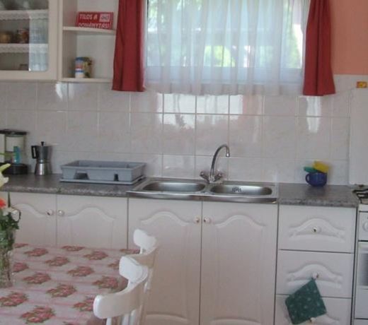 HORTENZIA NYARALÃ