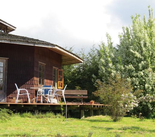 Zapato Amarillo Bed & Breakfast