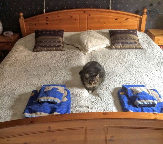 Eklanda Bed & Breakfast
