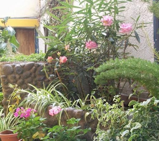 Casa Agua Canela