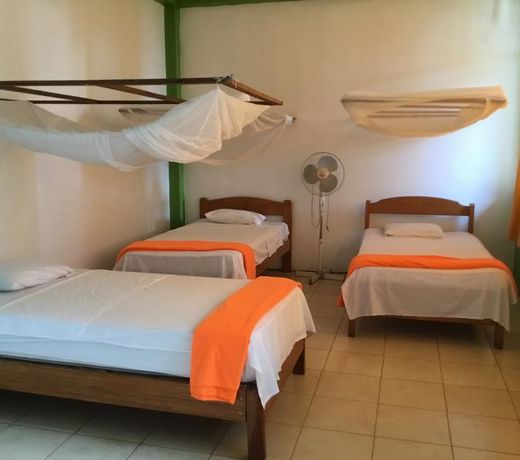 Tambopata Hostel