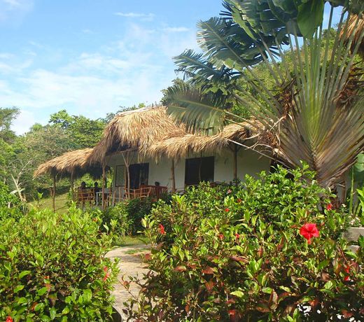 Jurassic Park Hotel