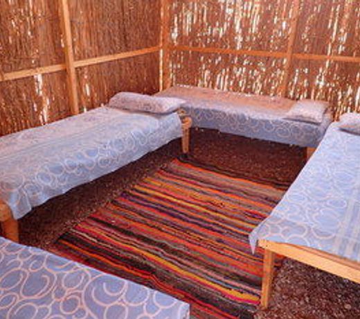 Bedouin Star (Ras Shetan area)