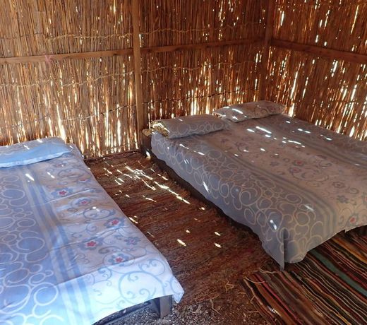 Bedouin Star (Ras Shetan area)