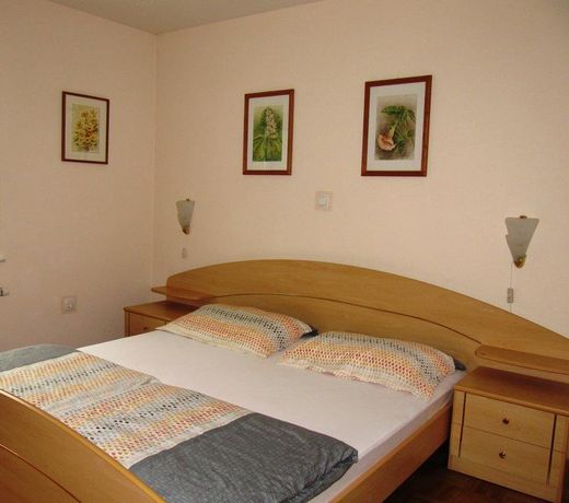 Apartment Vintgar