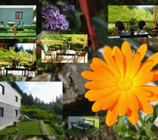 Underwoods Žabljak Guesthouse