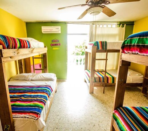 Wandering Monkey Guesthouse