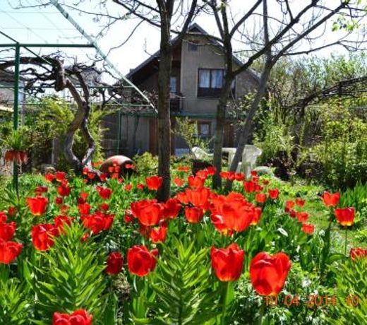 Milorava's Guest House & Wine Cellar