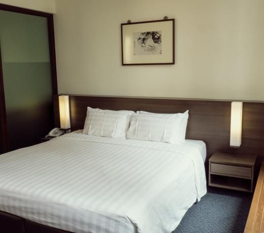 VIP Hotel (SG Clean)