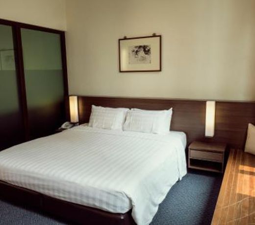 VIP Hotel (SG Clean)