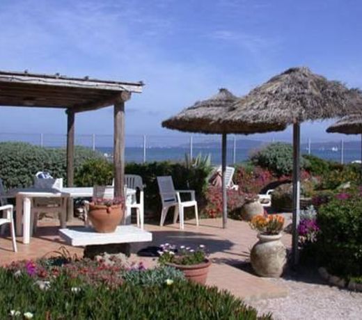 Au Grand sud