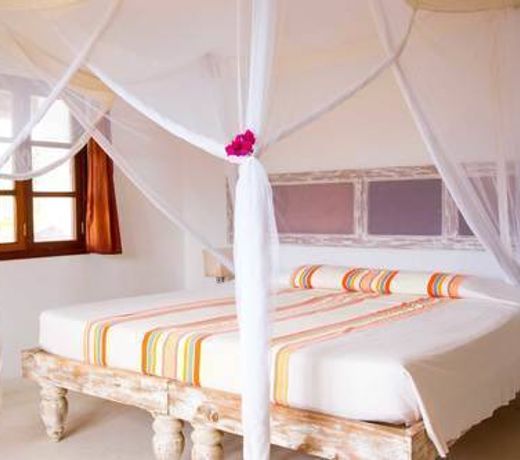 Gecko Resort