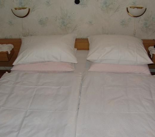 Guest house Stara lipa Tašner