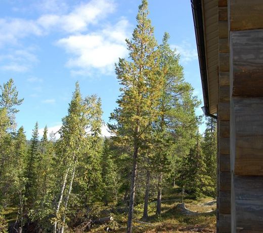Villa KlockarfjÃ¤llet