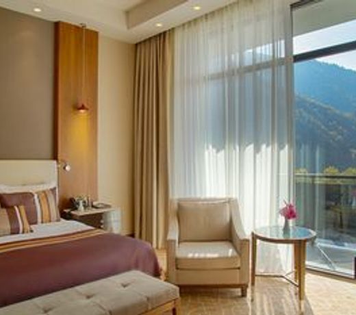 Borjomi Likani Health & Spa Centre