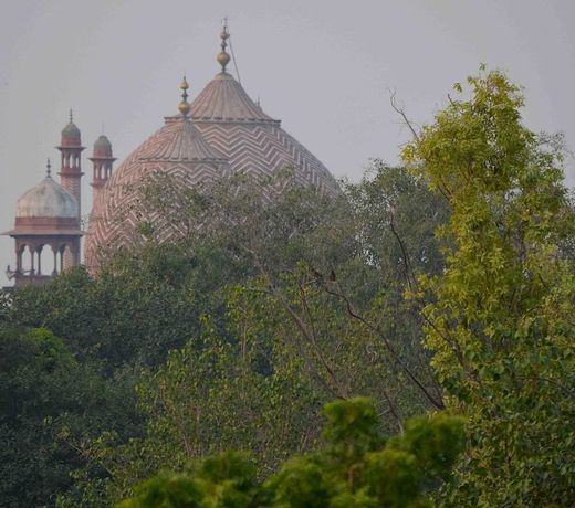 Dreams Inn Agra Villa Harmony