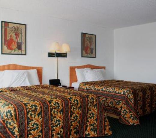 Amazon Motel