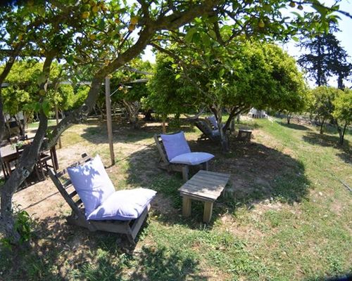 Bodrum Ecofarm Camp & Hostel - Тургутреис - фото 18