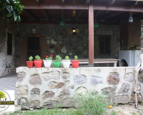 Bodrum Ecofarm Camp & Hostel - Тургутреис - фото 24