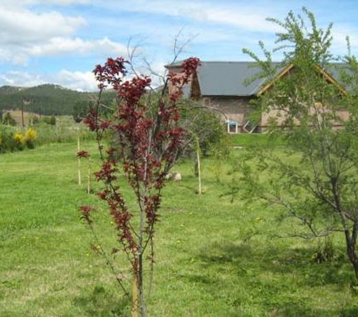 RUTA 234