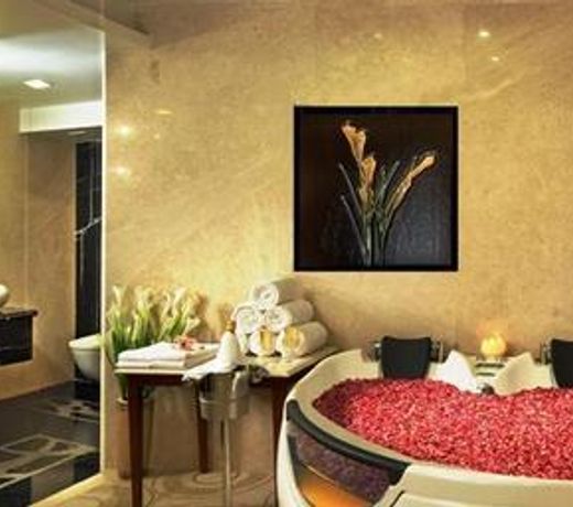 Hotel Park Vallabha