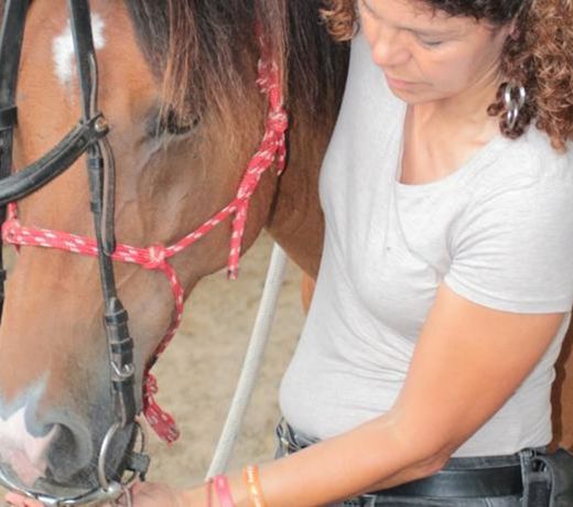 CAVALLO DI FIORI   AGRISCUDERIA