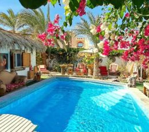 Surfers-Lounge-Dahab Lagoon with Swimming-Pool - Breakfast - Garden - Beduintent - BBQ - Jacuzzi