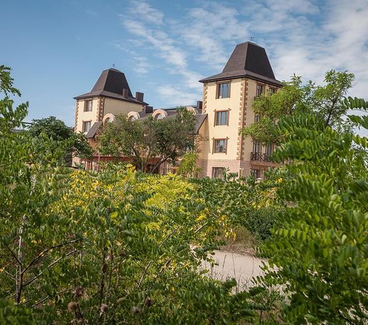 Ozero Snovideniy Hotel