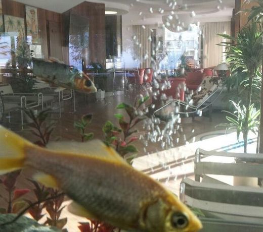 Hotel Continental