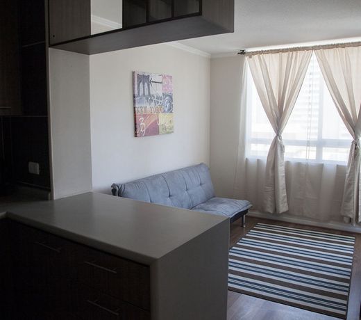Acero Apartment