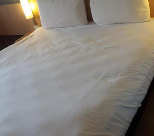ibis Pilar
