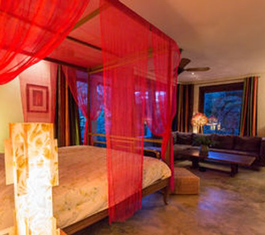 Villa des Palmes
