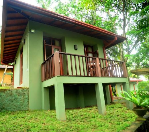 Tropical Retreat