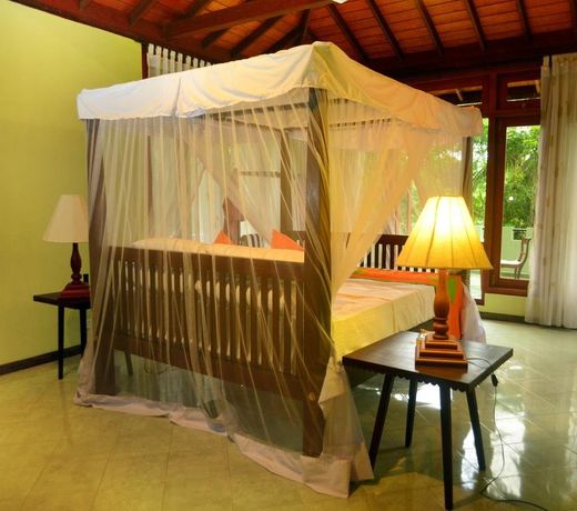 Tropical Retreat