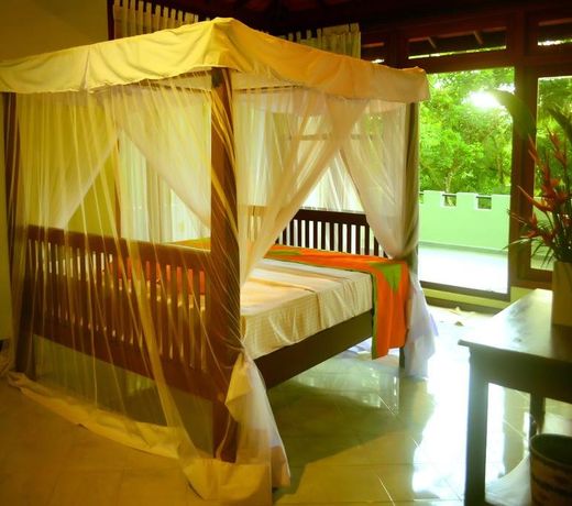 Tropical Retreat