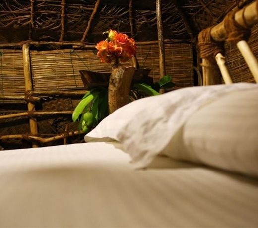 Organic Villa