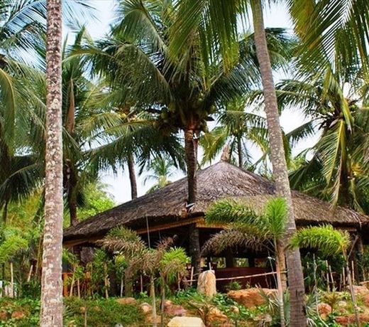 Coco Palm Beach Resort & Spa