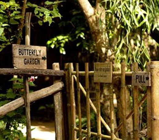 Mango Bay Resort