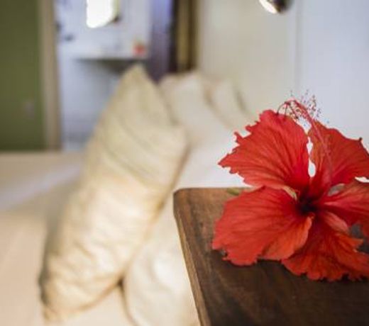 Planeta Banana Paraty