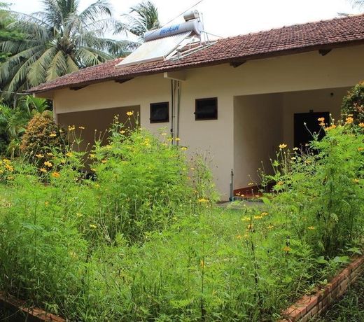Thanh Kim Nga Bungalow