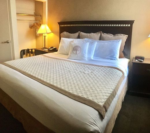 Hawthorn Suites by Wyndham Chandler