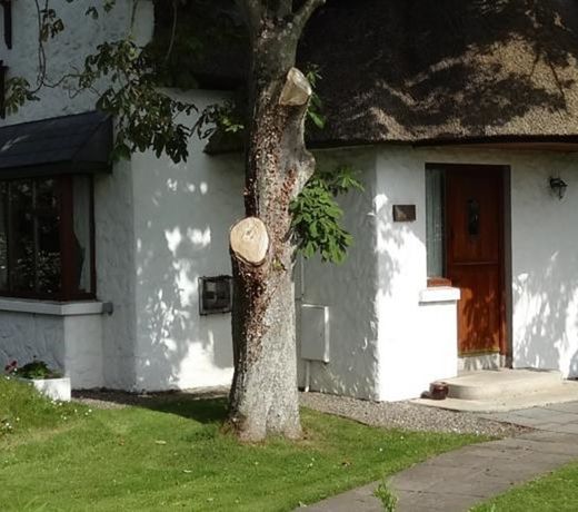Garden Cottage