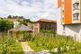 Albertov Rental Apartments