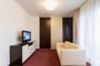 Albertov Rental Apartments